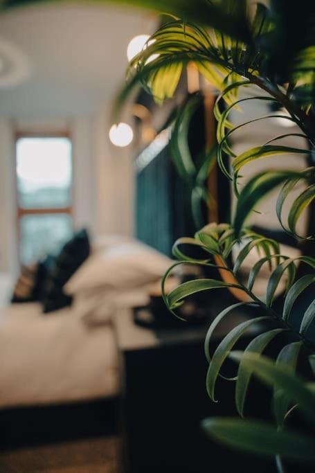 Penthouse Noir - Wyndale Living - Central Bham 2Br 버밍엄 외부 사진